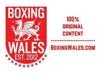 Boxingwales.com(Boxing Wales) Screenshot