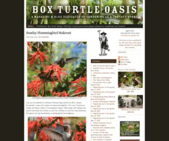 Boxturtleoasis.com(Box Turtle Oasis) Screenshot