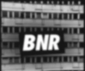 Boysnoizerecords.com(Boysnoizerecords) Screenshot