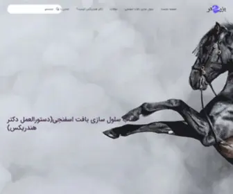 Bozorgtar.com(بزرگ کردن آلت تناسلی) Screenshot