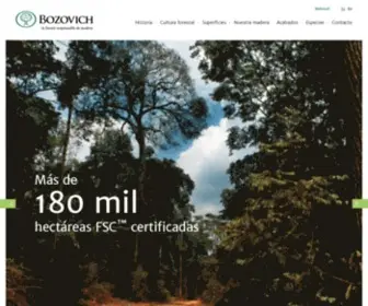 Bozovich.com(Drago Bozovich CEO) Screenshot