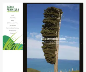 BPCT.org.nz(BPCT) Screenshot