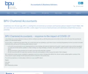 Bpuaccountants.co.uk(Accountants in Cardiff) Screenshot