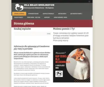 Braciamniejsi.com.pl(Stowarzyszenie humanitarno) Screenshot