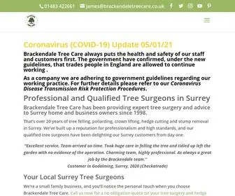 Brackendaletreecare.co.uk(Profession & qualified Surrey tree surgeons) Screenshot