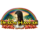 Braidshawaii.com Favicon