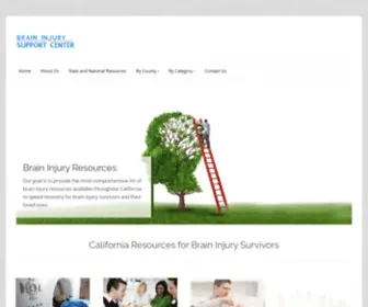 Braininjurysupportcenter.com(TBI Diagnosis) Screenshot