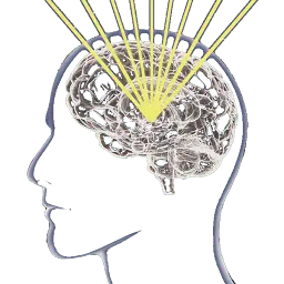 Brainmetsdr.com Favicon