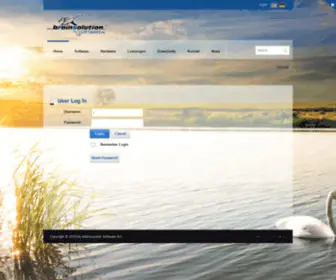 Brainsolution.de(Brainsolution Software AG) Screenshot
