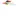 Brainwavedesigns.in Favicon