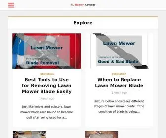 Brainyadvisor.com(The Brainy Advisor) Screenshot