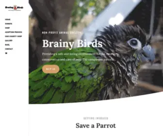 Brainybirds.co.za(Brainy Birds) Screenshot