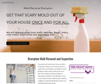 Bramptonmoldremoval.com(Mold Inspections & Mold Removal Services in Brampton) Screenshot