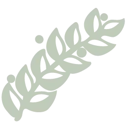 Branches.org Logo