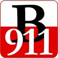 Brand911.com Favicon