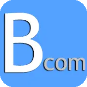 Brandin.com Logo