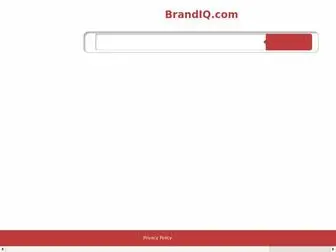 Brandiq.com(Brand marketing) Screenshot