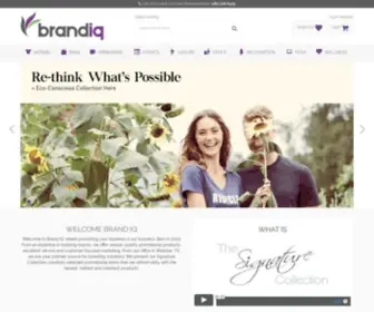 Brandiqinc.com(Promoting your business) Screenshot