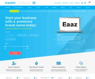 Brandnic.com(The Largest Brand Name Marketplace) Screenshot