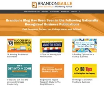 Brandongaille.com(Small Business Articles on Marketing) Screenshot