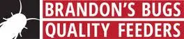 Brandonsbugs.com Logo