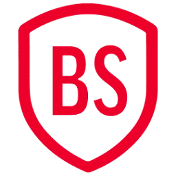 Brandsecurity.io Logo