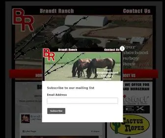 Brandtranch.com(Brandt Ranch) Screenshot