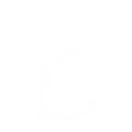 Braque.ca Logo