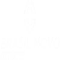 Brasilnovoemfoco.com.br Logo