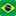 Brasilturpasseios.com.br Favicon