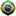 Brasilwap.com Favicon