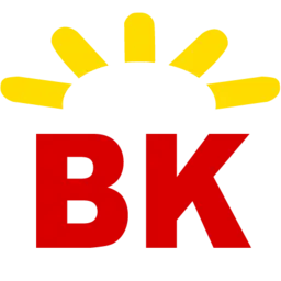 Braskarne.com.br Favicon