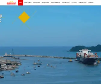 Braskarne.com.br(Terminal portuário) Screenshot