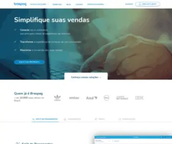 Braspag.com.br(Uma empresa Cielo) Screenshot