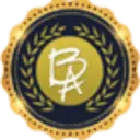 Brassyacademy.com Favicon