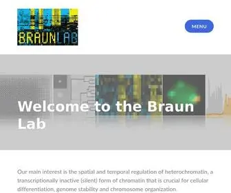 Braunlab.de(Braun Lab) Screenshot