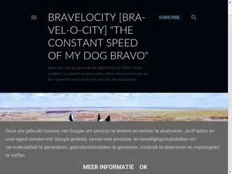 Bravelocity.com(A Man) Screenshot