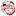 Bravicaffe.com Favicon