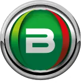 Bravosrl.it Favicon