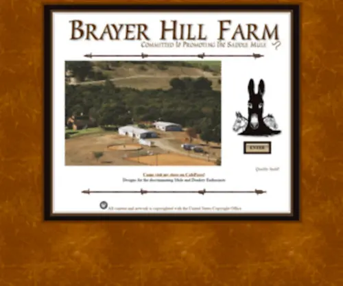 Brayerhill.com(Brayer Hill) Screenshot