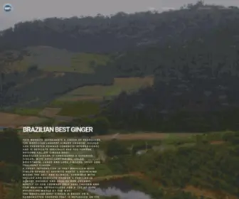 Brazilianbestginger.com(BRAZILIAN BEST GINGER) Screenshot