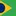 Braziliex.com Logo