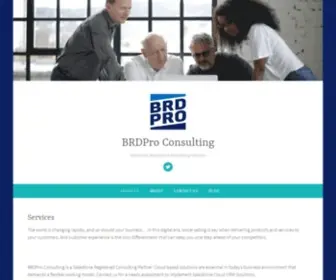 BRDpro.com(BRDPro Consulting) Screenshot