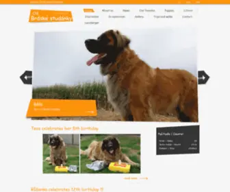 BRDskastudanka.cz(Leonberger) Screenshot