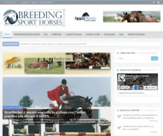Breedingsporthorses.com(Breeding Sport Horses) Screenshot