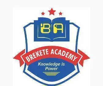 Breketeacademy.com(Brekete Academy) Screenshot