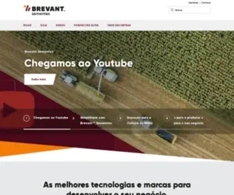 Brevant.com.br(Híbridos de Milho) Screenshot