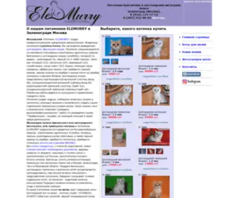 Bri-Fold.ru(купить) Screenshot