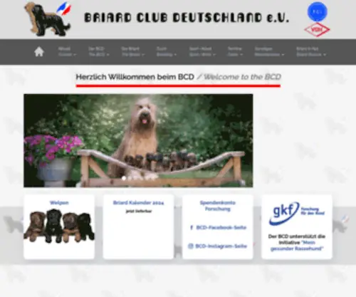Briardclub.de(Hütehunde) Screenshot
