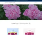 Bridgecontinents.com Screenshot